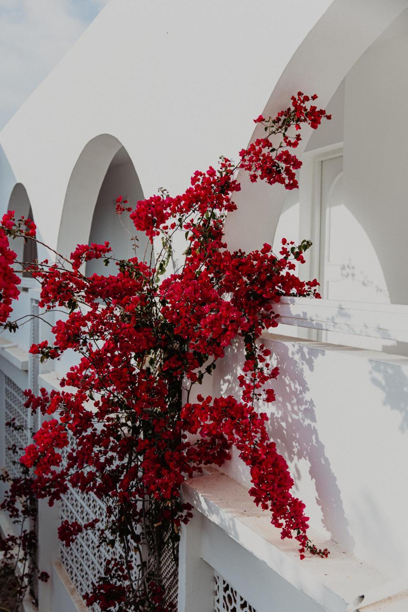 Hotel Bougainvillier Djerba Taguermess Exterior photo